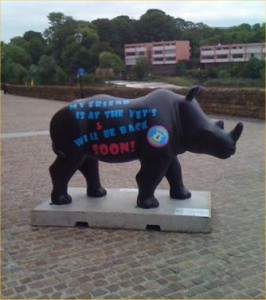 One of the replacement Rhino's near the Salmon Leap in Chester.