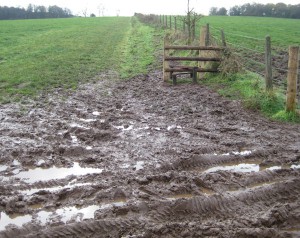 A muddy section of the Sandstone Trail, and a style that leads nowhere. A muddy section of the Sandstone Trail, and a style that leads nowhere.