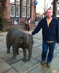 Little Elephant statue in Chester Town Centre