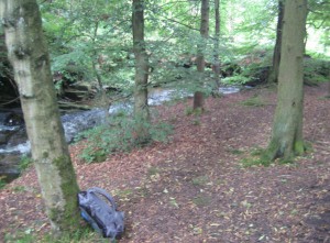 I relax in the woods, find a sit spot and take some time to enjoy nature and reflect.