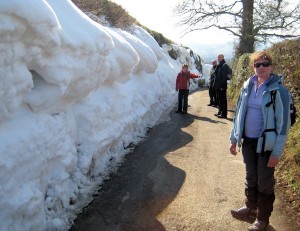A "snow wall" as we walk back to the Golden Lion at Llangynhafal