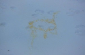Some of my own "hand painted" art in the snow on Christmas day
