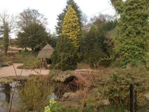 A view in Ness Gardens