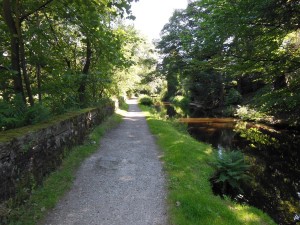 The path to Uppermill along the Canal