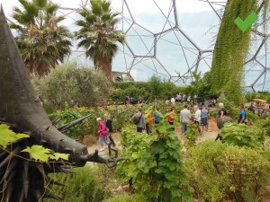 The eden project