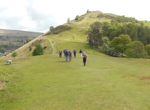 dinas_bran