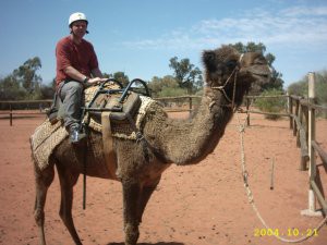 me_camel