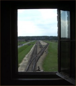 Birkenau window