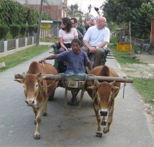 oxcart1