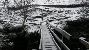 spfootbridge