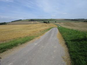 A long open road with fields on each side