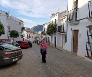 One of Andalucia's white villages