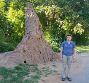 Nikki standing next to a giant termite nest