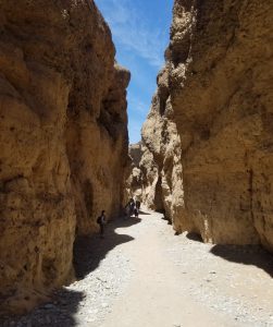 Inside Sesriem canyon