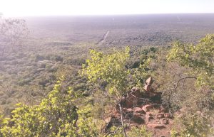 The view from the Waterberg Plateu