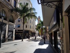 palmtree_street