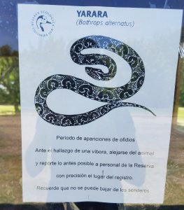 snake_warning